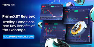 PrimeXBT Online Platform Unlocking the Future of Trading