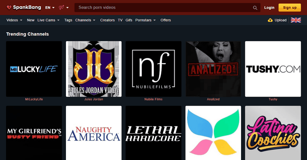 Charlotte Mae: Exciting Ability in the Adult Enjoyment World